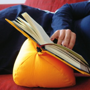 Leselotte - Kissen für Bücherwürmer