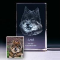 3dportrait-3