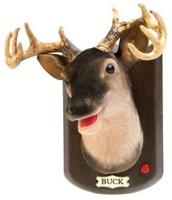 Buck singender Hirsch - 1