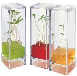 Plantarium Garden Lab