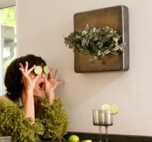 FlowerBox - Echte Pflanzen an die Wand hängen wie Bilder