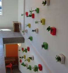 FlowerBox sorgt für grüne Wände