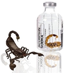 Skorpion Wodka für Mutige und „echte“ Männer