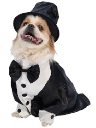 Faschings-Outfit für Vierbeiner mit Hundekostümen