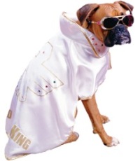 Faschings-Outfit für Vierbeiner mit Hundekostümen