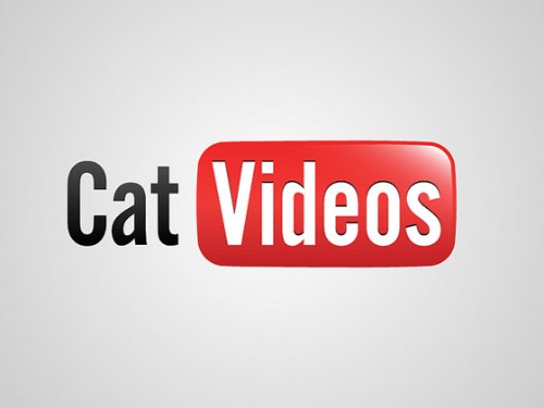 youtube-catvideos Ausgefallenes für jede Lebenslage: Ehrliche Logos
