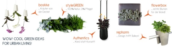 bodo.green - Neuer Shop für Pflanzen & Design in Kombination