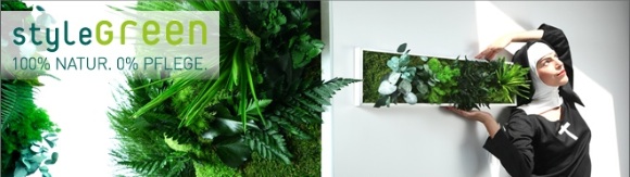 bodo.green - Neuer Shop für Pflanzen & Design in Kombination